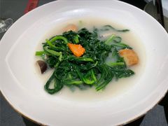 茼蒿-沈灶河豚宴·河豚融合餐厅(汉中路店)