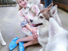 -TrueLove @ Neverland (Husky Cafe)