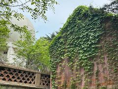 -观象山公园