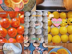 -苏州雏渐肥月嫂