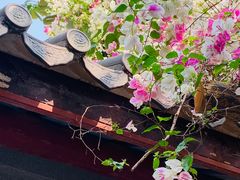 -深圳国际园林花卉博览园