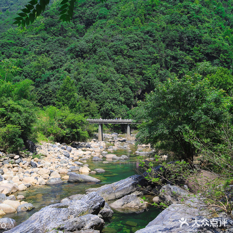 安徽周边避暑胜地：石台牯牛降景区