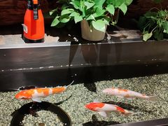 -0776食堂·京城创意菜(七里庄店)
