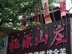 -桃源山庄·水蜜桃采摘·柴火鸡·烧烤团建(龙泉山店)