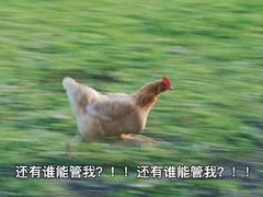 -古茗(厦门大学店)