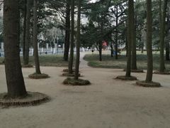 -八大关景区