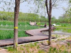 -永定河休闲森林公园