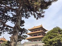 -北陵公园