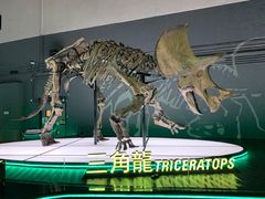 -香港科学馆