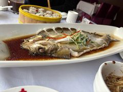 -九头鸟酒家(东高地店)