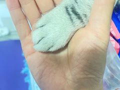 -VENCHI 闻绮(北京国贸商城店)