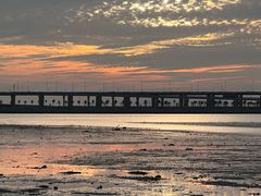 -宝安西湾红树林湿地公园