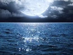 -黄浦江游览(十六铺码头)