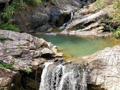 -广州白江湖森林公园