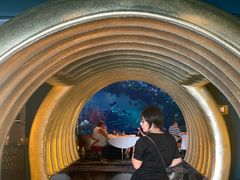 -迪拜帆船酒店海底餐厅