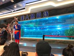 美人鱼剧场-绍兴梦享海洋公园