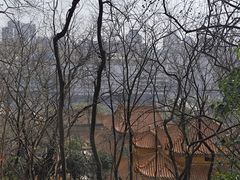 -宝通禅寺