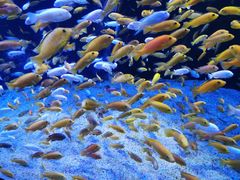 -成都浩海立方海洋公园