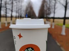 -嘉北郊野公园