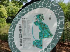 -中国扬子鳄村