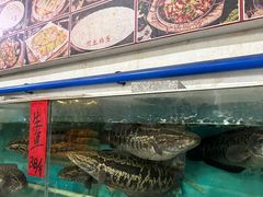 -烧鹅妹饭店