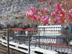 -北京明城墙遗址公园