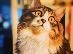 -建辉湖南土菜馆(南大街店)