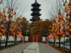 -龙华素斋(龙华路店)