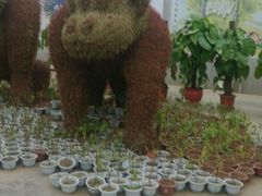 -天源吉布世温泉水乐园