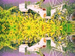 -紫颐香薰山谷景区