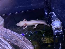 -Zoolung Zoolung动物主题公园(海信广场店)