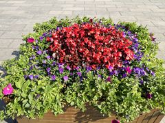 -南宫温泉水世界