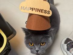 -半勺舒舒生日蛋糕店