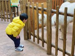 -杭州开元森泊度假乐园