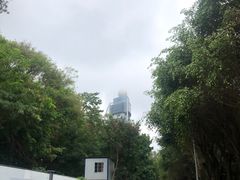 -深圳国际园林花卉博览园