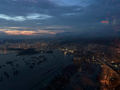 -天龙轩(香港丽思卡尔顿酒店)