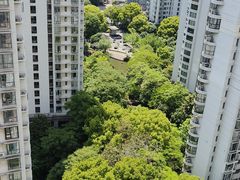 -新湖明珠城