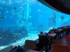 景观位-海棠湾洲际-涛·海底餐厅·美人鱼·自助餐·海底隧道