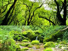 -神农架景区
