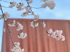 -龙美术馆(西岸馆)