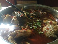 -风鑫铃罗非鱼(道沟店)