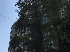 -滨湖·名邸一期