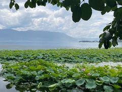 -大理洱海