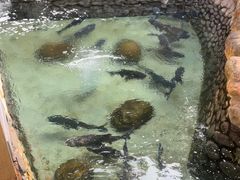 -耕渔小院·湖南鱼鲜(望城店)