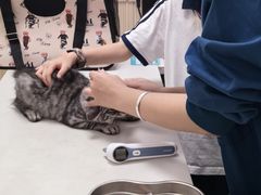 -瑞派宠物医院(搏威敦和院)