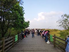 -吴淞炮台湾湿地森林公园烧烤区