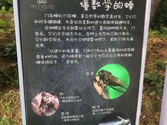 -云峰山自然风景区
