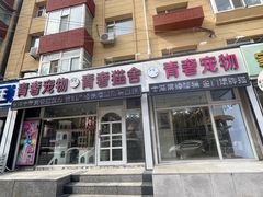 -青奢宠物·青奢猫舍