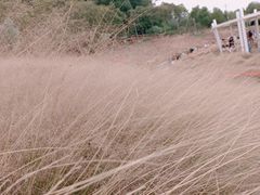 -牛岗山公园
