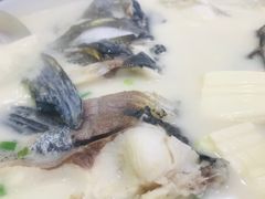 -全乐鱼馆·淳牌有机鱼直营店